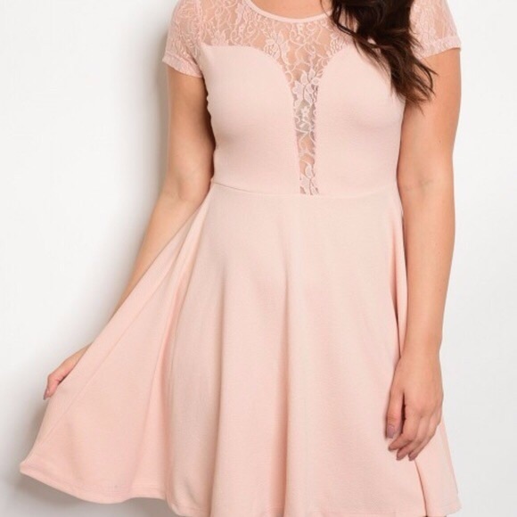 Dresses & Skirts - Plus Size Blush Dress with Lace Back Detail